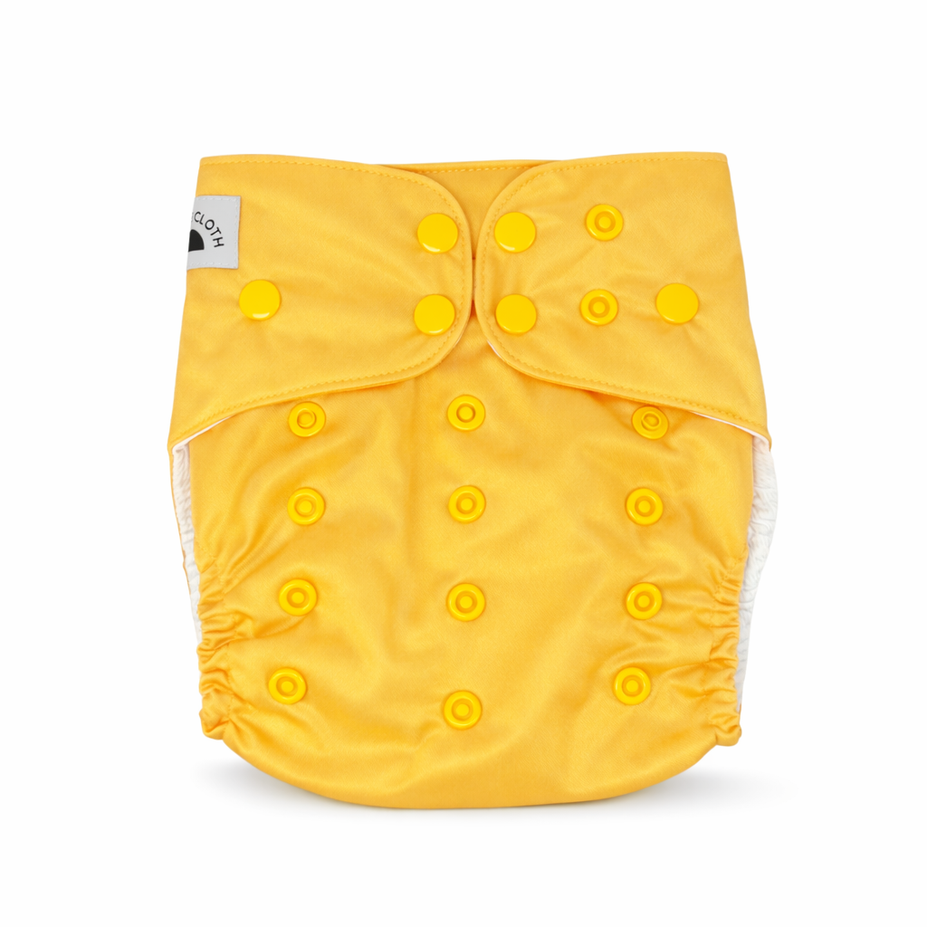 All-In-2 Dual Pocket Diaper 2.0