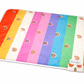 All-In-One Blanket